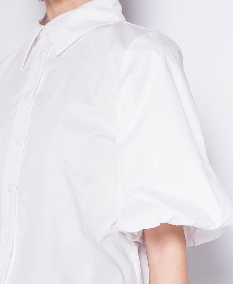 Women Single Breasted Lantern Sleeve Blouse - White - H0W934